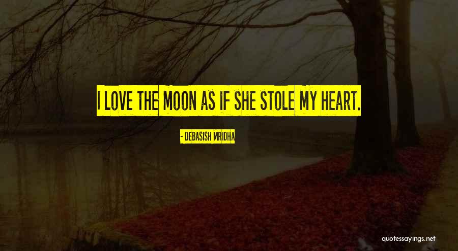 You Stole My Heart Quotes By Debasish Mridha