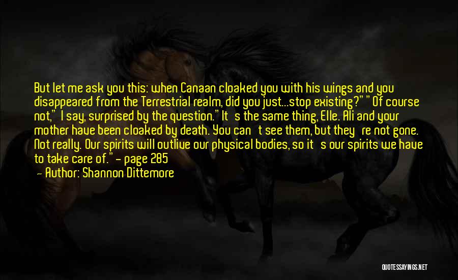 You Surprised Me Quotes By Shannon Dittemore