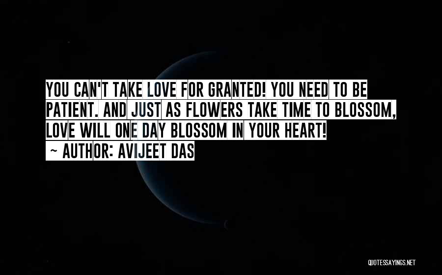 You Take For Granted Quotes By Avijeet Das