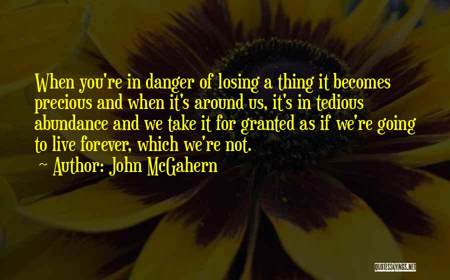 You Take For Granted Quotes By John McGahern