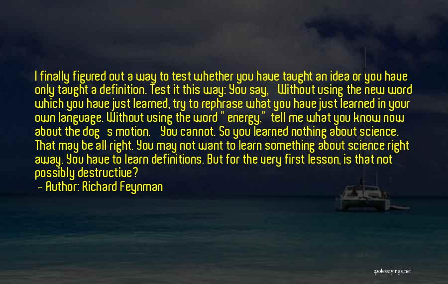 You Taught Me A Lesson Quotes By Richard Feynman