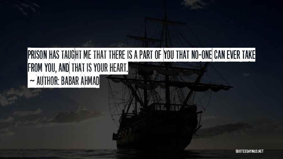 You Taught Me Quotes By Babar Ahmad