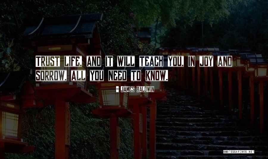 You Teach Quotes By James Baldwin You Teach Quotes By James Baldwin