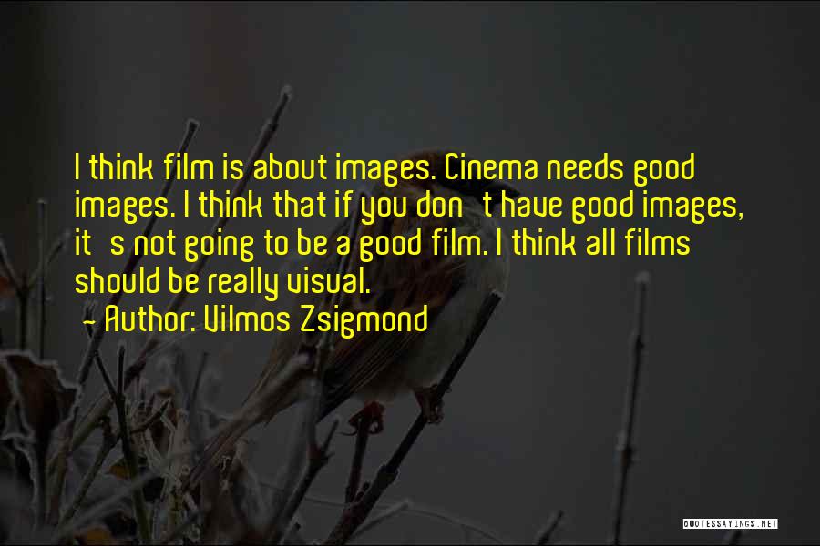 You Think It's All About You Quotes By Vilmos Zsigmond