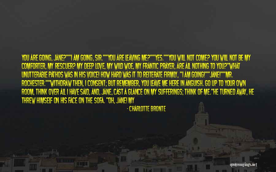 You Threw It Away Quotes By Charlotte Bronte