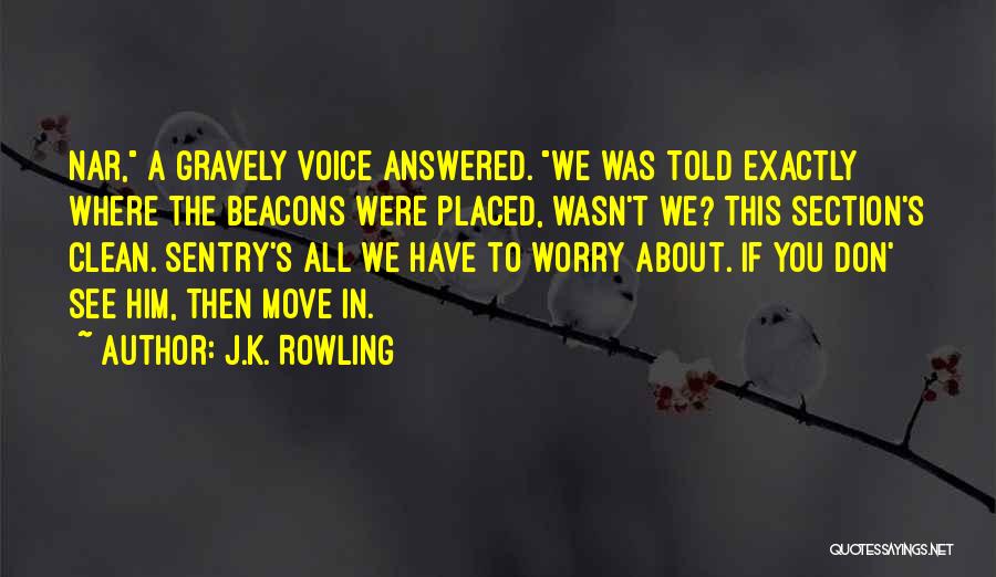 You Told Me To Move On Quotes By J.K. Rowling