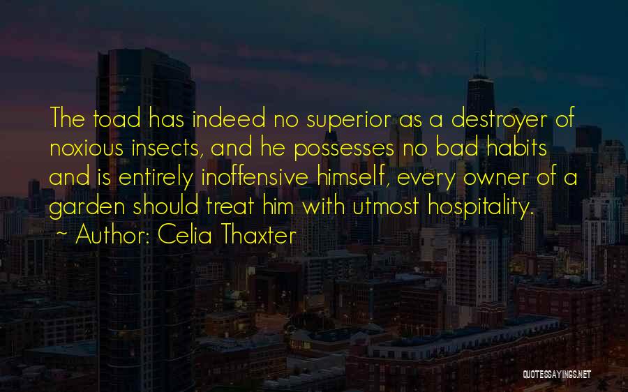 You Treat Her Bad Quotes By Celia Thaxter