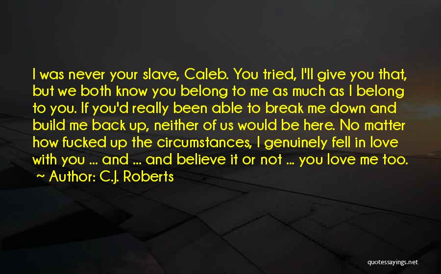 You Tried To Break Me Down Quotes By C.J. Roberts