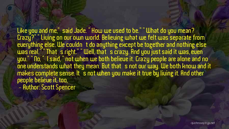 You Used To Mean Everything To Me Quotes By Scott Spencer