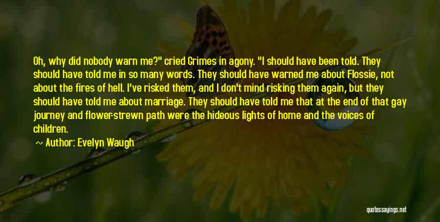 You Ve Been Warned Quotes By Evelyn Waugh