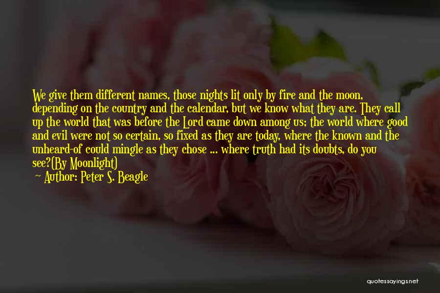 You Vs Them Quotes By Peter S. Beagle