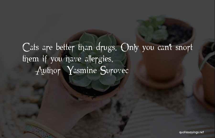 You Vs Them Quotes By Yasmine Surovec