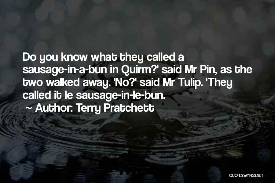 You Walked Away Quotes By Terry Pratchett