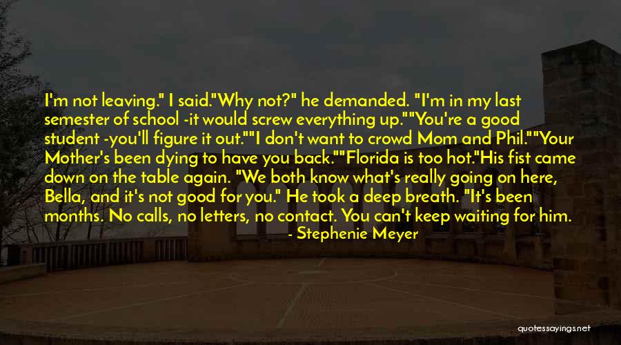 You Want Him Back Quotes By Stephenie Meyer You Want Him Back Quotes By Stephenie Meyer