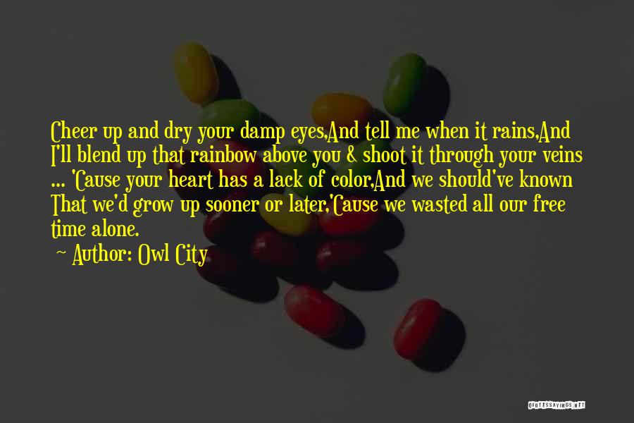 You Wasted My Love Quotes By Owl City