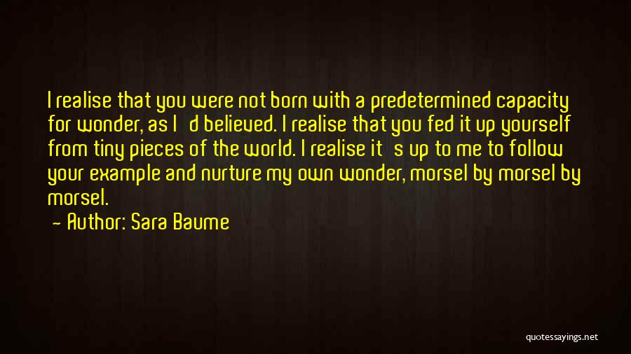 You Were Born For Me Quotes By Sara Baume