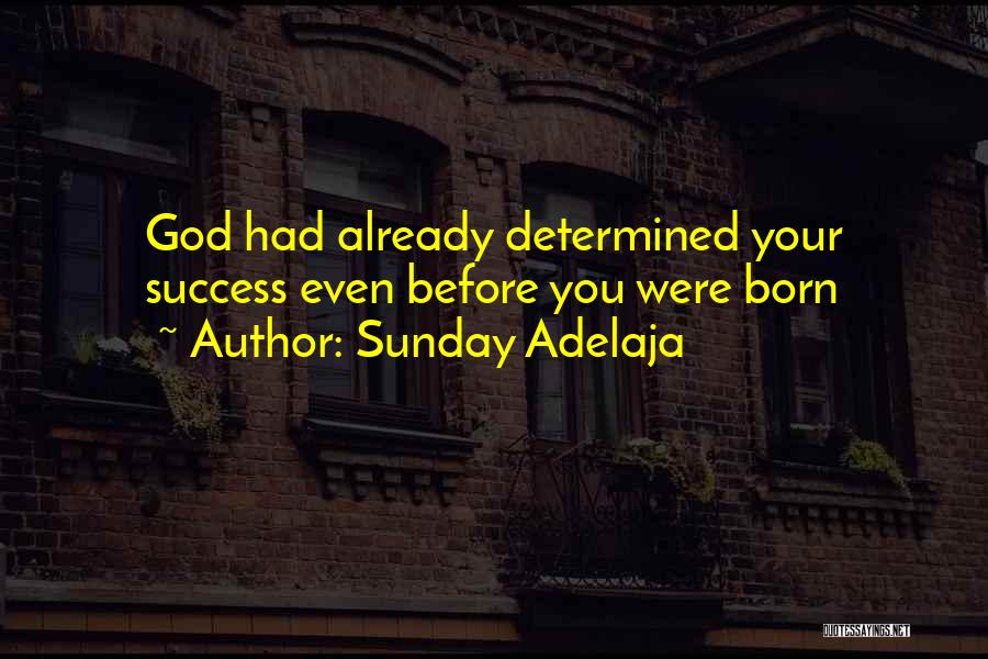 You Were Born Quotes By Sunday Adelaja