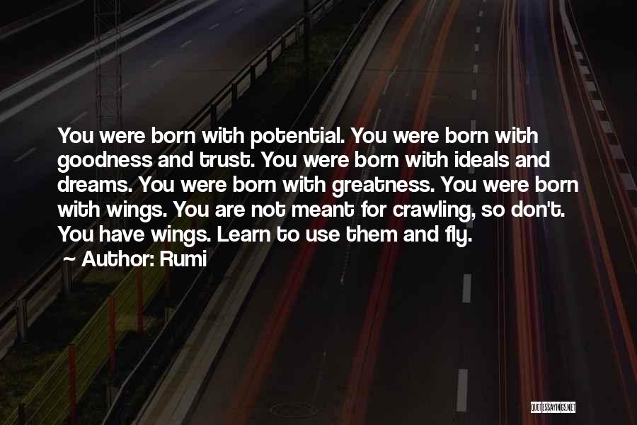 You Were Born To Fly Quotes By Rumi