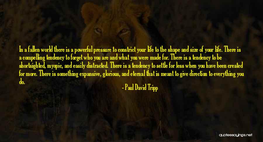 You Were Created Quotes By Paul David Tripp You Were Created Quotes By Paul David Tripp