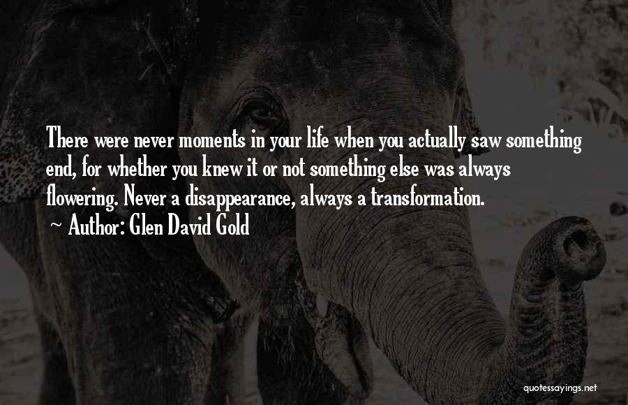 You Were Never There Quotes By Glen David Gold