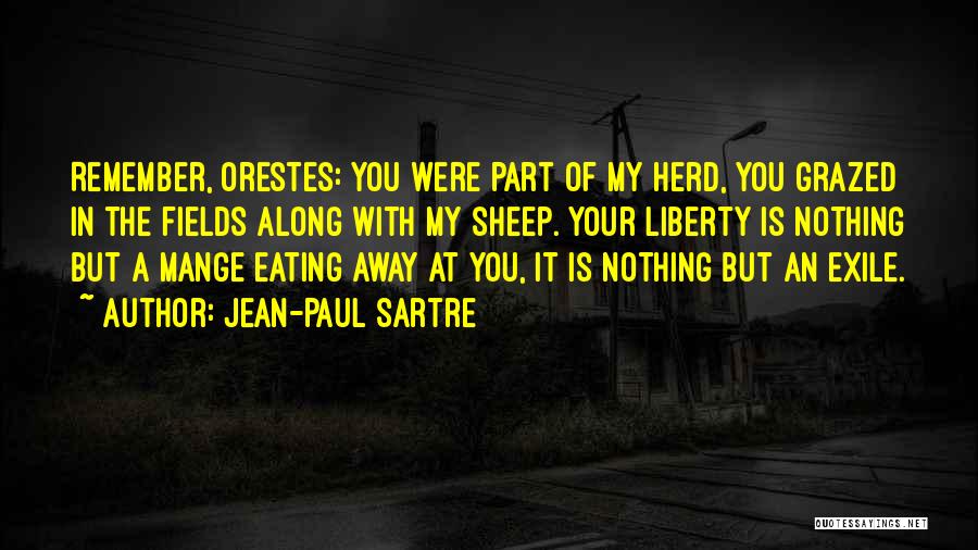 You Were Nothing Quotes By Jean-Paul Sartre