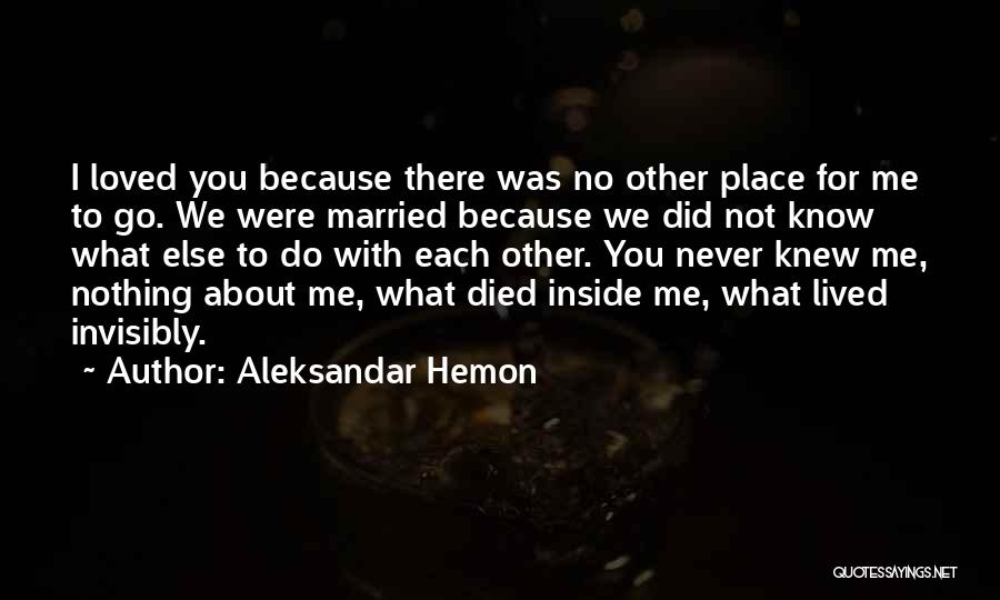 You Were Nothing To Me Quotes By Aleksandar Hemon