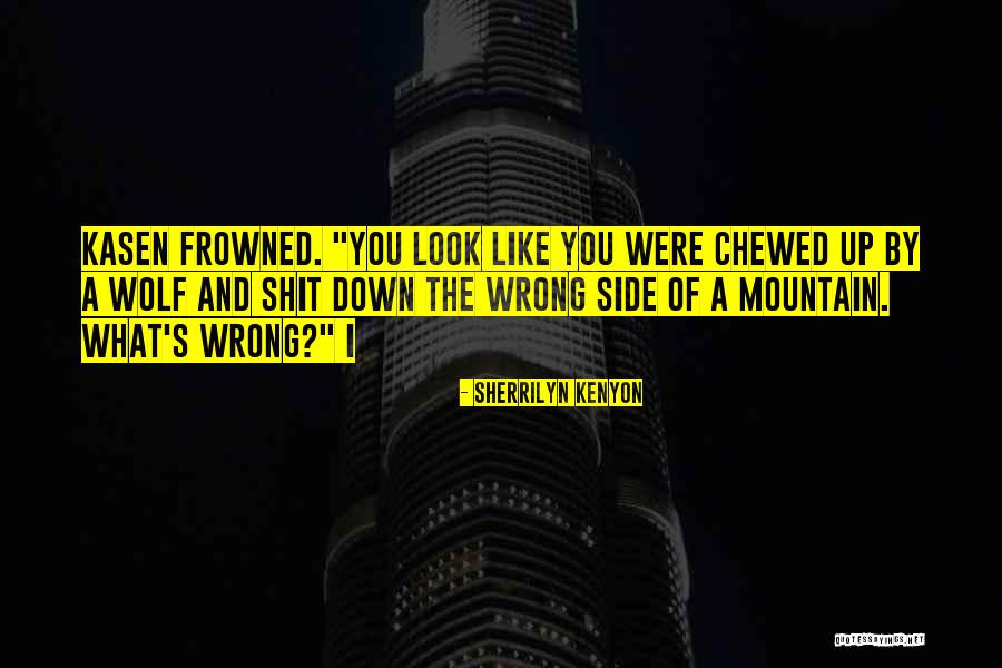 You Were Wrong Quotes By Sherrilyn Kenyon You Were Wrong Quotes By Sherrilyn Kenyon