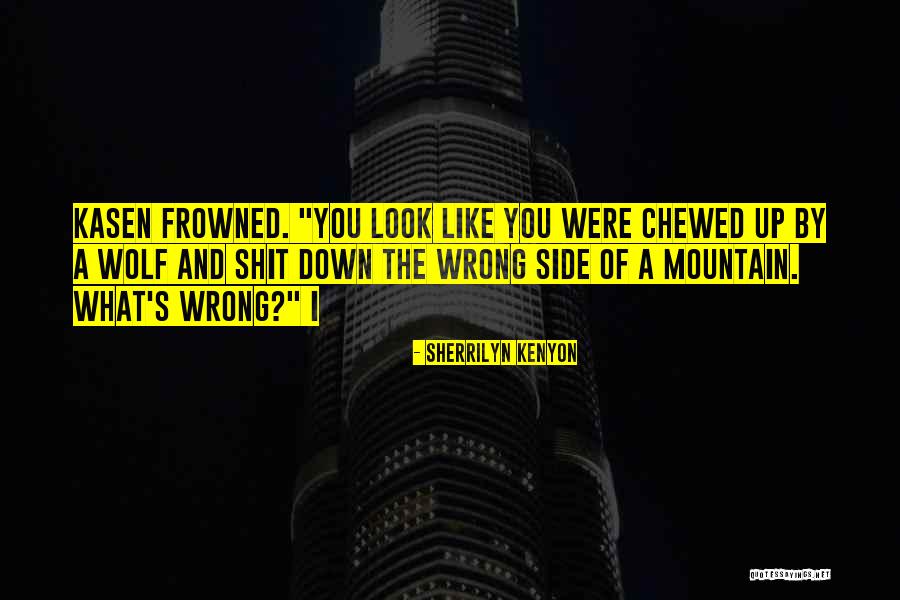 You Were Wrong Quotes By Sherrilyn Kenyon