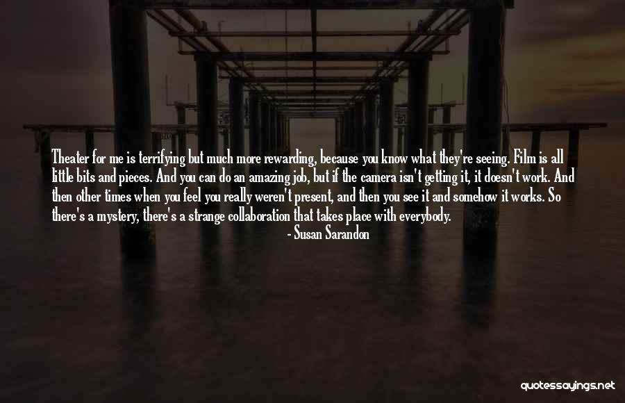 You Weren't There For Me Quotes By Susan Sarandon