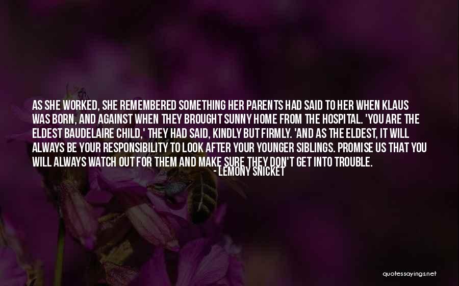 You Will Always Remembered Quotes By Lemony Snicket