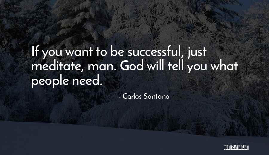 You Will Be Successful Quotes By Carlos Santana