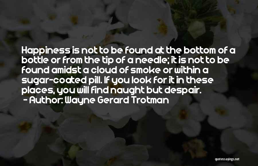 You Will Find It Quotes By Wayne Gerard Trotman