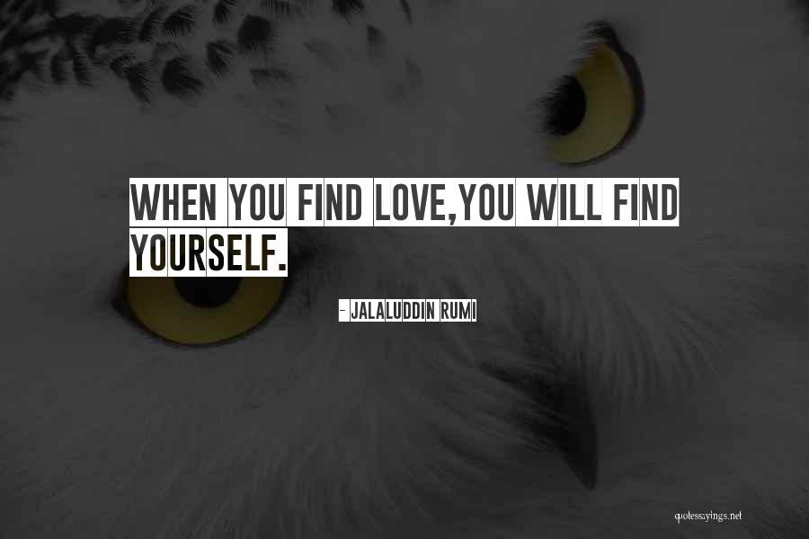 You Will Find Love Quotes By Jalaluddin Rumi