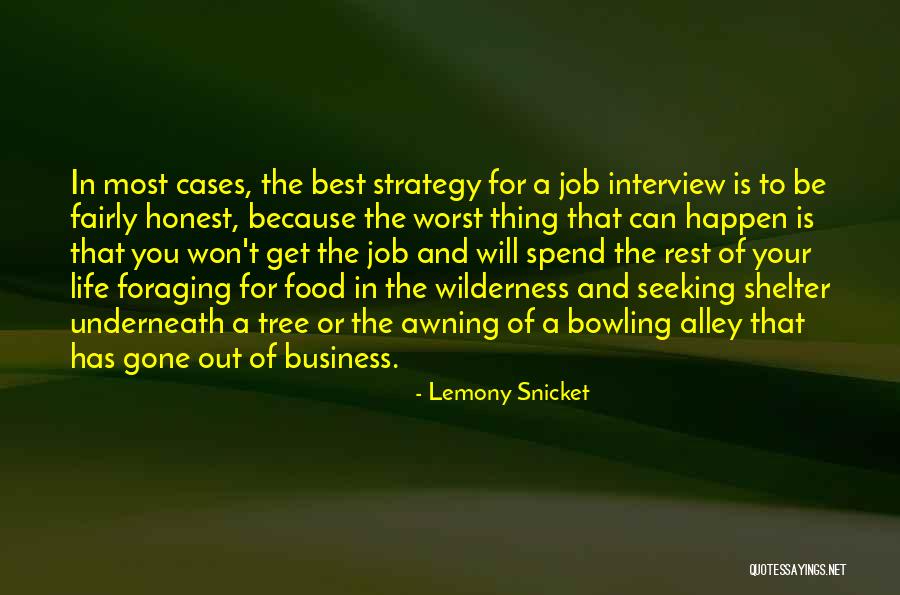 You Will Get The Job Quotes By Lemony Snicket