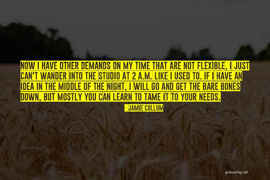 You Will Learn In Time Quotes By Jamie Cullum You Will Learn In Time Quotes By Jamie Cullum