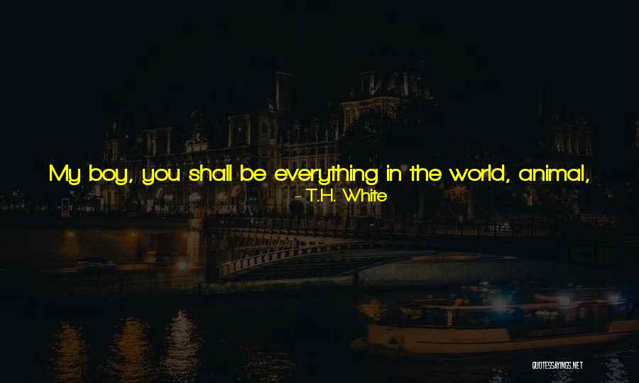 You Will Learn In Time Quotes By T.H. White You Will Learn In Time Quotes By T.H. White