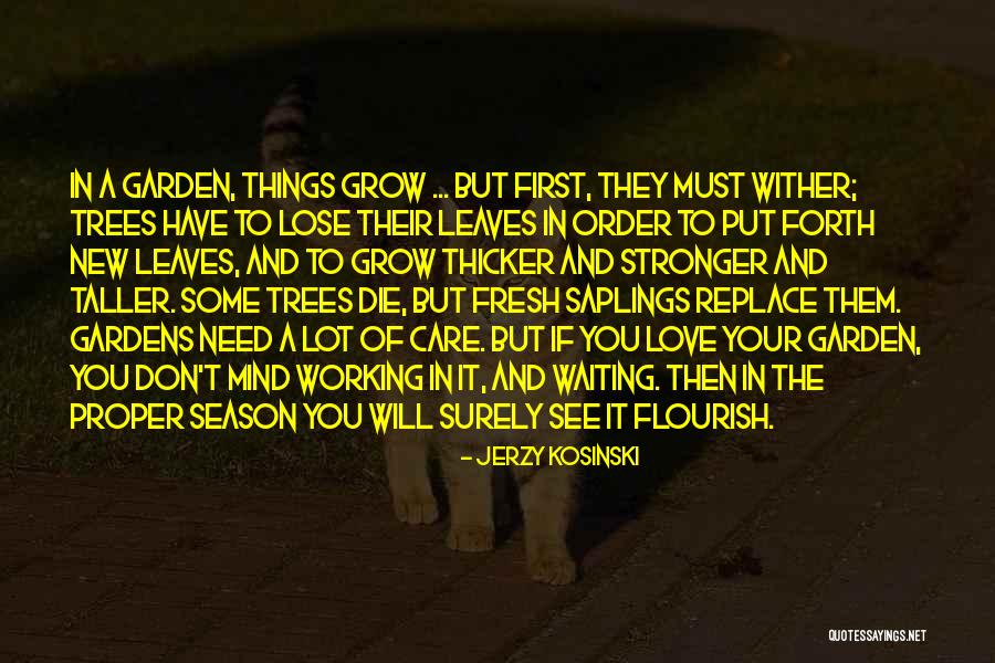 You Will Lose Them Quotes By Jerzy Kosinski