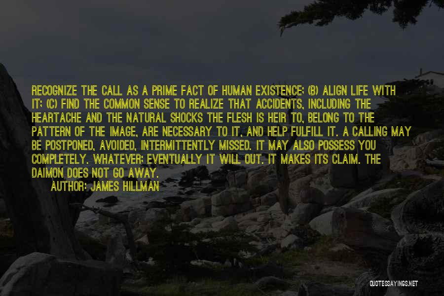 You Will Missed Quotes By James Hillman