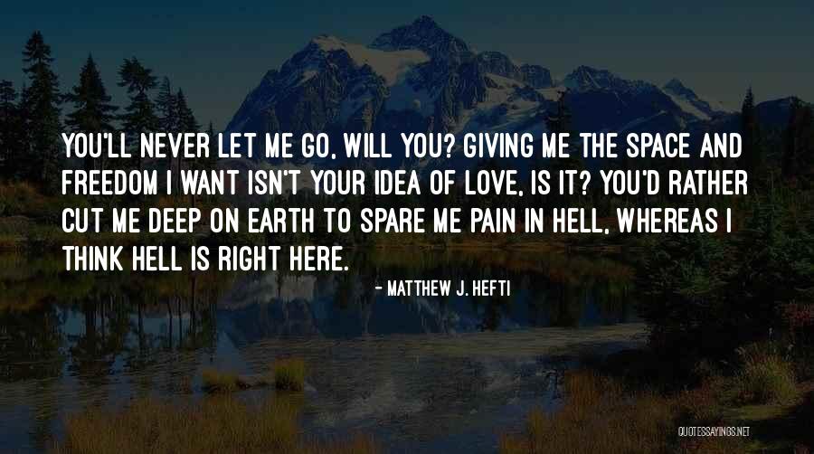 You Will Never Hurt Me Quotes By Matthew J. Hefti