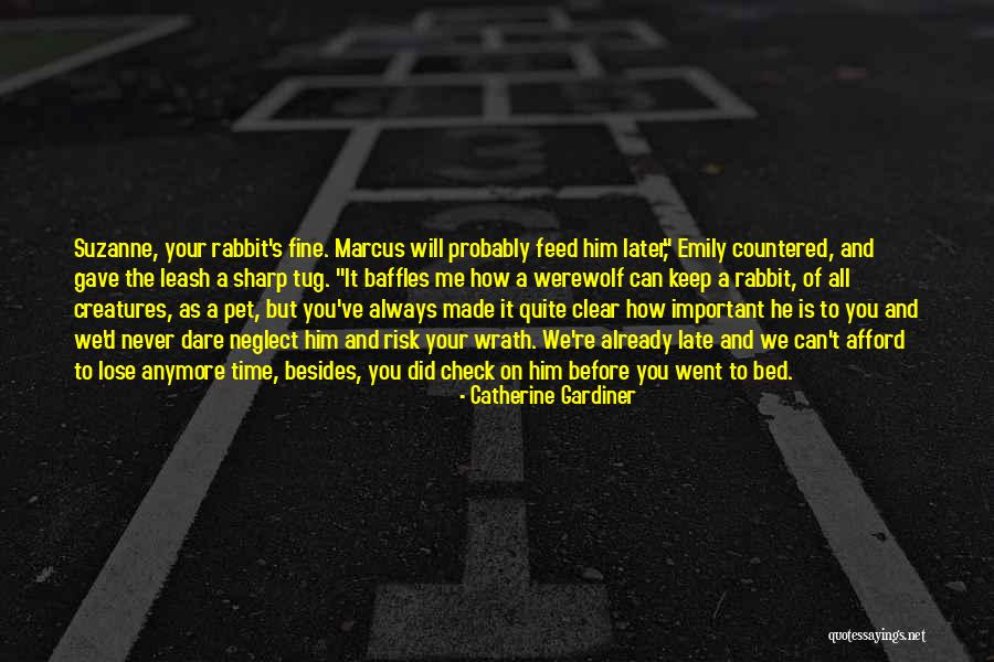 You Will Never Lose Me Quotes By Catherine Gardiner You Will Never Lose Me Quotes By Catherine Gardiner