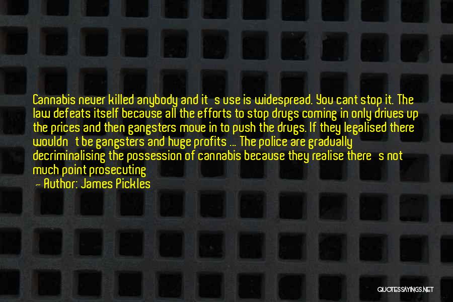 You Will Never Realise Quotes By James Pickles