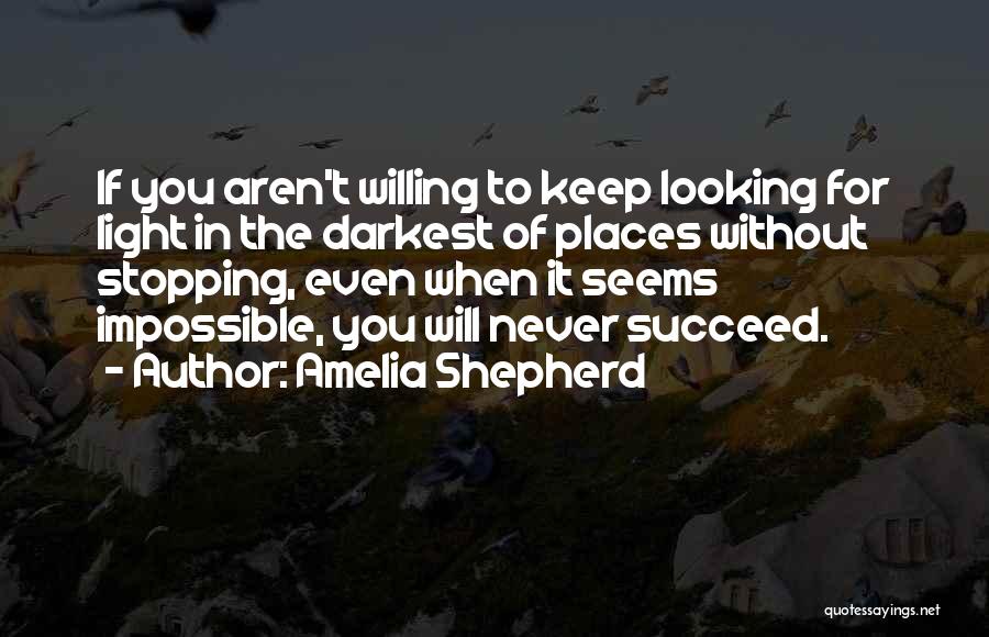 You Will Never Succeed Quotes By Amelia Shepherd