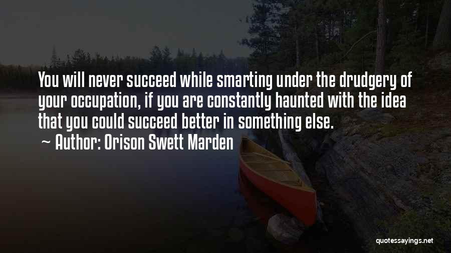 You Will Never Succeed Quotes By Orison Swett Marden