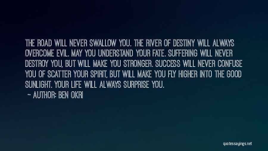 You Will Never Understand Quotes By Ben Okri