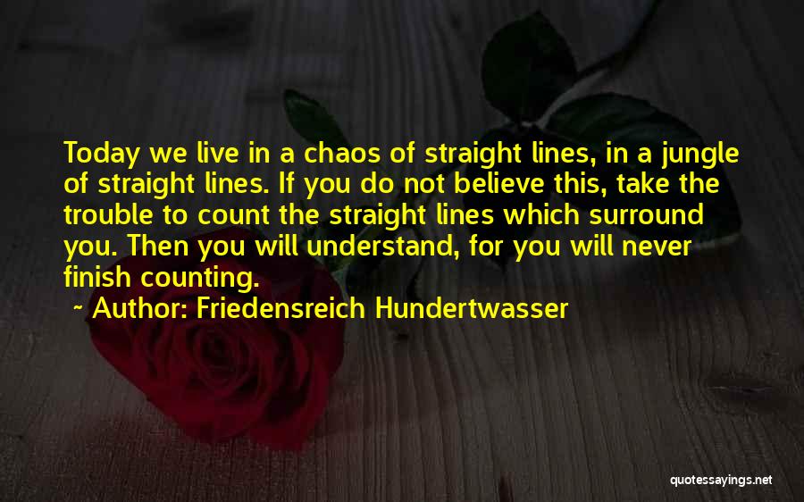 You Will Never Understand Quotes By Friedensreich Hundertwasser