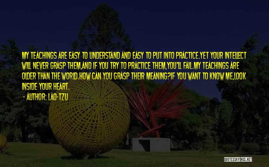You Will Never Understand Quotes By Lao-Tzu