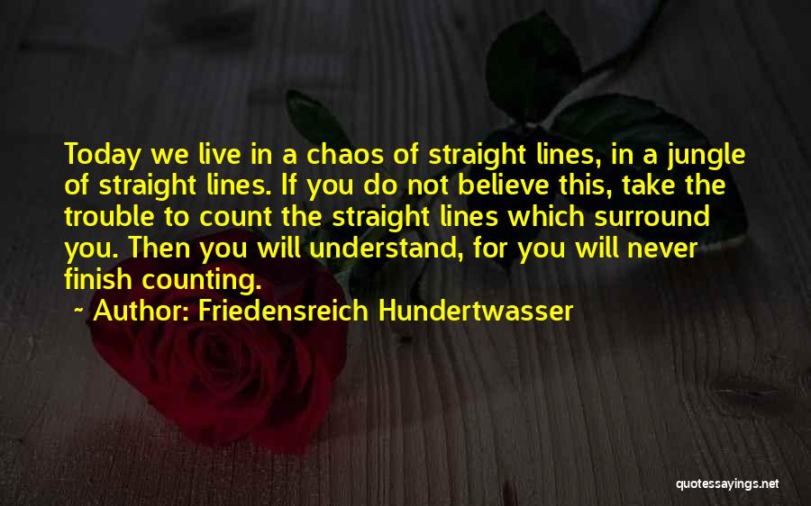You Will Not Understand Quotes By Friedensreich Hundertwasser