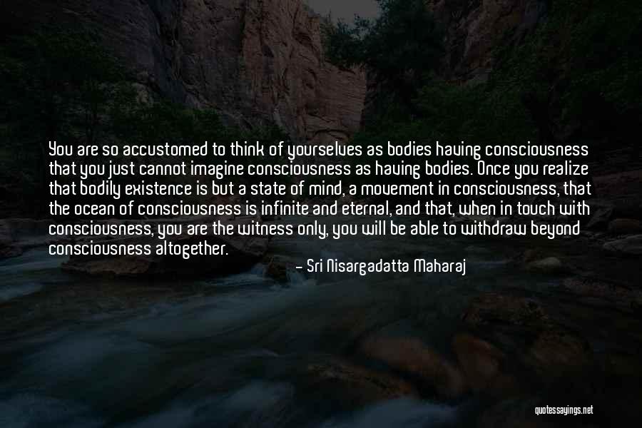 You Will Only Realize Quotes By Sri Nisargadatta Maharaj