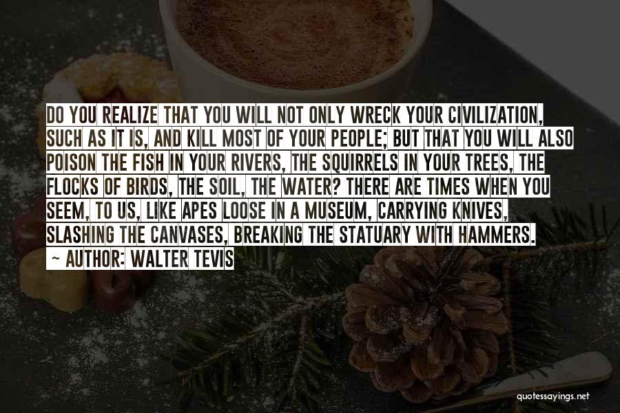 You Will Only Realize Quotes By Walter Tevis