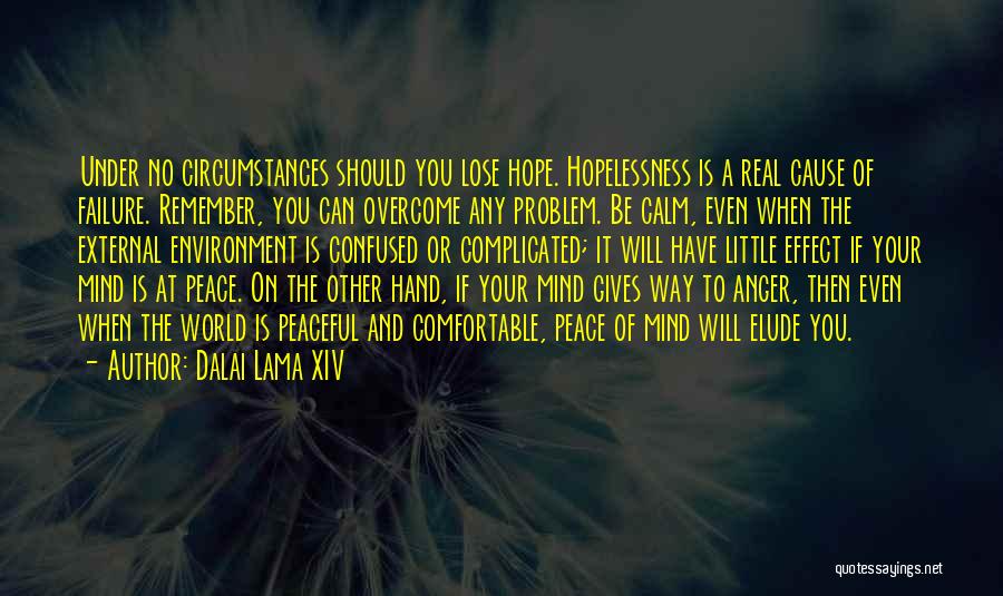 You Will Overcome Quotes By Dalai Lama XIV